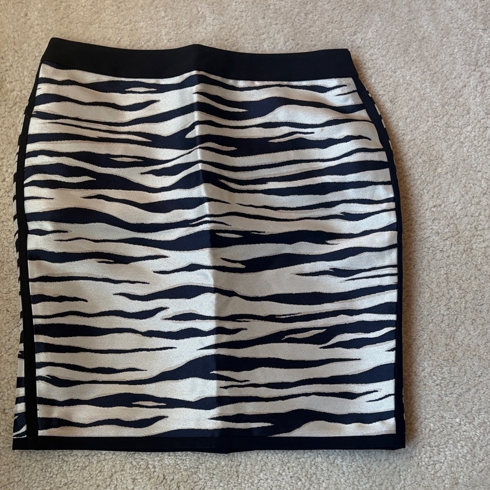 NWT Ann Taylor Skirt Sz. 8p